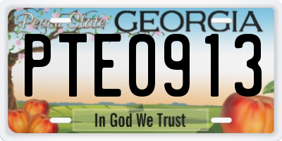 GA license plate PTE0913