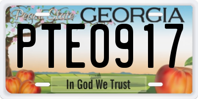 GA license plate PTE0917