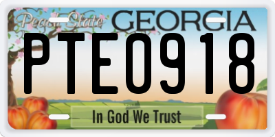 GA license plate PTE0918