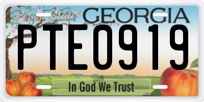 GA license plate PTE0919