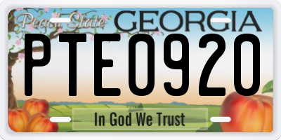 GA license plate PTE0920