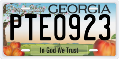 GA license plate PTE0923