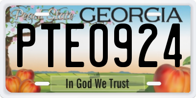 GA license plate PTE0924