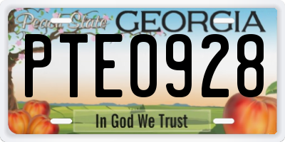 GA license plate PTE0928