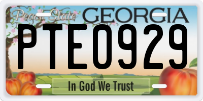 GA license plate PTE0929