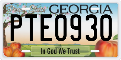 GA license plate PTE0930