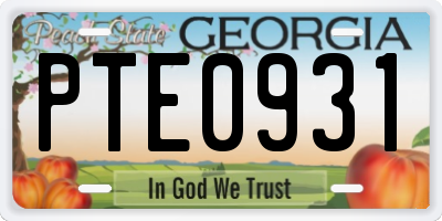 GA license plate PTE0931