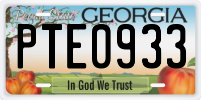 GA license plate PTE0933