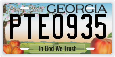 GA license plate PTE0935