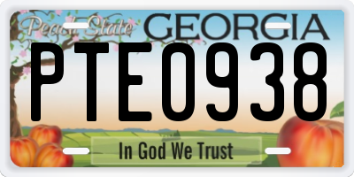 GA license plate PTE0938