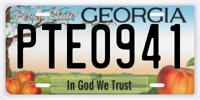 GA license plate PTE0941