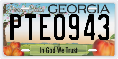 GA license plate PTE0943