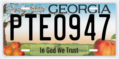 GA license plate PTE0947