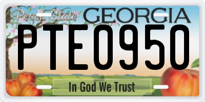 GA license plate PTE0950