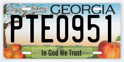 GA license plate PTE0951