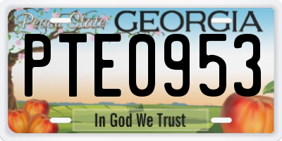 GA license plate PTE0953