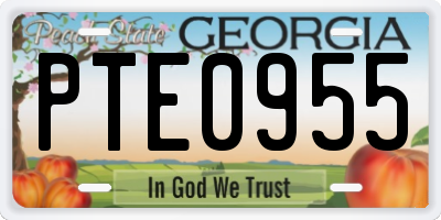 GA license plate PTE0955