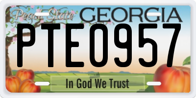 GA license plate PTE0957