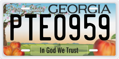 GA license plate PTE0959