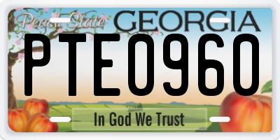 GA license plate PTE0960