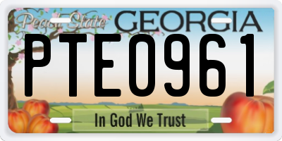 GA license plate PTE0961