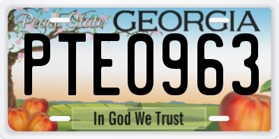 GA license plate PTE0963