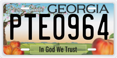GA license plate PTE0964