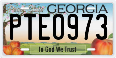 GA license plate PTE0973