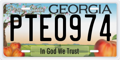 GA license plate PTE0974