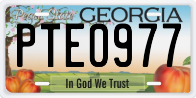 GA license plate PTE0977