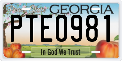 GA license plate PTE0981