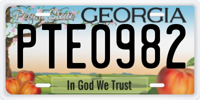GA license plate PTE0982