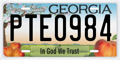 GA license plate PTE0984