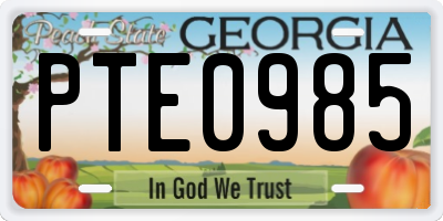 GA license plate PTE0985