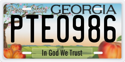 GA license plate PTE0986
