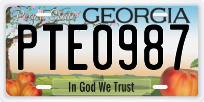 GA license plate PTE0987