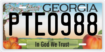 GA license plate PTE0988