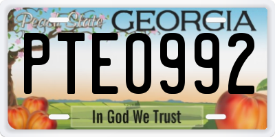 GA license plate PTE0992