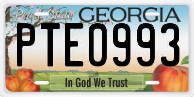 GA license plate PTE0993