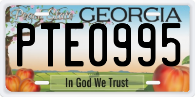 GA license plate PTE0995