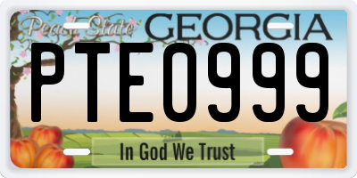 GA license plate PTE0999