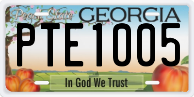 GA license plate PTE1005
