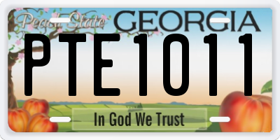 GA license plate PTE1011