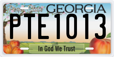 GA license plate PTE1013