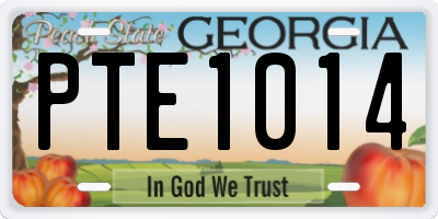 GA license plate PTE1014