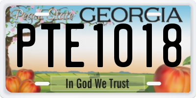 GA license plate PTE1018