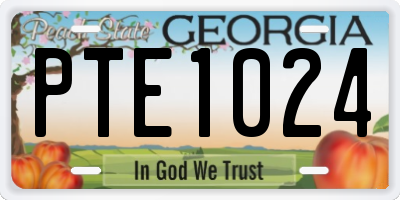 GA license plate PTE1024