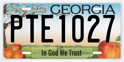 GA license plate PTE1027