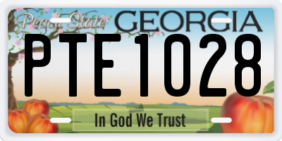 GA license plate PTE1028