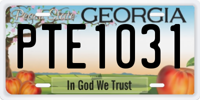 GA license plate PTE1031